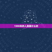 1990年的人是属什么的，90年属马的是什么命和什么属相相配