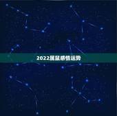 2022属鼠感情运势，2021属鼠人全年运势