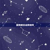 属狗明日运势如何，属狗今日财运如何 &amp;#8211; 百度 &amp;#8211; 百度一下