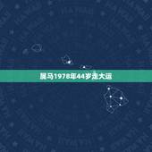 属马1978年44岁走大运，属马人什么年龄走大运