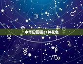 中华田园猫21种花色，中华田园猫里面有哪些我们熟知的品种？