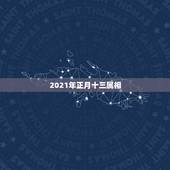 2021年正月十三属相，2021年正月属兔是哪一天？