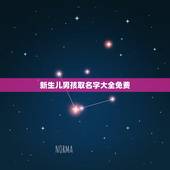 新生儿男孩取名字大全免费 男孩取名大全