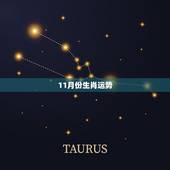 11月份生肖运势，十二生肖每月运势详解