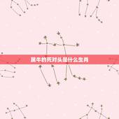属牛的死对头是什么生肖，属猪的死对头是什么生肖