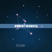 属猴的哪个属相最好运，男属猴是和什么属相最合适？