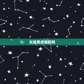 女鼠男虎相配吗，男虎女鼠在一起合适吗