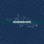 适合室内养的50种花，适合室内养的50种植物