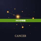 2023天降星，圣女是做什么工作