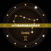 2022属虎男孩最吉利的名字，2022年属虎男孩取名何山的名字同何瑞比