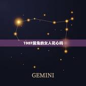 1987属兔的女人花心吗，属兔女最讨厌什么男人