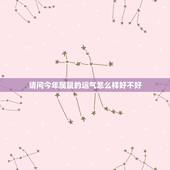 请问今年属鼠的运气怎么样好不好，周易八字免费测算
