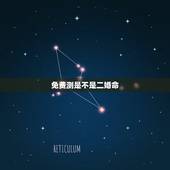 免费测是不是二婚命，算命的说我是二婚的命，这个怎么看，貌似都说他算的很