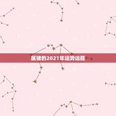 属猪的2021年运势运程，2021属猪人全年运势