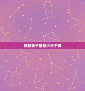 原配妻子最怕小三干嘛，小三最怕什么样的妻子 原配骂小三的经典语录