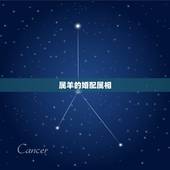 属羊的婚配属相，属羊婚配属相