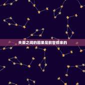 夫妻之间的因果是前世修来的，关于的佛教的前世今生的夫妻因缘？
