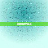 和老鼠合的属相，老鼠跟猪属相合不合