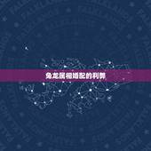 兔龙属相婚配的利弊，和什么样的属向结婚最好