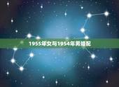 1955年女与1954年男婚配，53年男属蛇和54年女属马合婚吗？