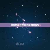 属羊的最好生什么属相的宝宝，爸爸属马，妈妈属羊，要什么属相的孩子好？