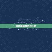 属羊和属兔的合不合，男属兔女属羊婚姻状况