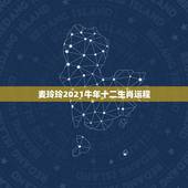 麦玲玲2021牛年十二生肖运程，2021年麦玲玲十二生肖运势