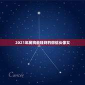 2021年属狗最旺财的微信头像女，2021最旺财旺运的微信网名女