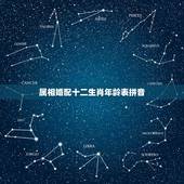 属相婚配十二生肖年龄表拼音，十二生肖婚配