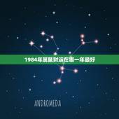 1984年属鼠财运在哪一年最好，1984年属鼠财运如何 1984年属鼠