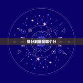 缘分到底是哪个分，缘分的分是什么意思，比如说，两个人相遇是缘，那怎样才