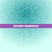 属牛的哪个属相最有富贵，十二生肖之中最富贵的三个生肖，你上榜了吗