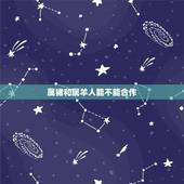 属猪和属羊人能不能合作，属羊跟属猪的合不合