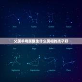 父属羊母属猴生什么属相的孩子好，男属羊79 8月 女属猴80 3月生啥