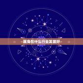 属兔在什么行业发展好，属兔适合什么职业