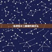 轨字在十二属相代表什么，十二地支分别代表什么生肖？