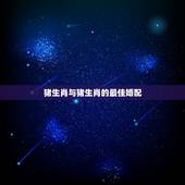 猪生肖与猪生肖的最佳婚配，生肖猪和猪婚配吗？