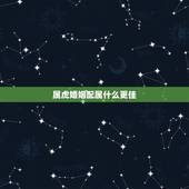 属虎婚姻配属什么更佳，十二属相婚姻配对