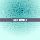 95属猪姻缘何时到，95年属猪女2022 年运势