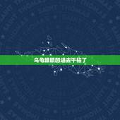 乌龟眼睛凹进去干枯了，我的乌龟眼睛凹下去，很干的样子，好象死了……