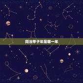 同治甲子年是哪一年，同治己巳年是公元年