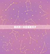 我的另一半在哪里句子，我的另一半在哪里