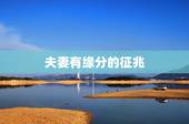 夫妻有缘分的征兆，夫妻之间出现哪些征兆说明缘分已经到头？