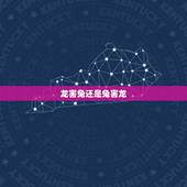 龙害兔还是兔害龙，兔龙相害是谁害谁