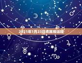 2021年1月23日虎属相运程，属虎的人2021年的运势及运程