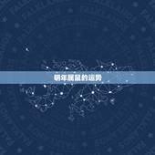 明年属鼠的运势，2022 年属鼠人的全年运势