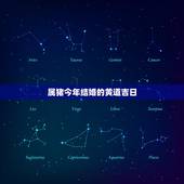 属猪今年结婚的黄道吉日，2022 年属猪订婚吉日