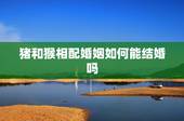 猪和猴相配婚姻如何能结婚吗，属猪的和属猴的结婚相克吗