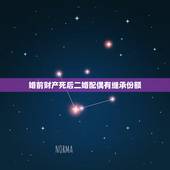 婚前财产死后二婚配偶有继承份额，我是二婚，老公的房子是婚前财产，他去世