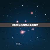 属相婚配不合牛与羊怎么办，属羊和什么属相相冲？教你如何化解和属牛相冲